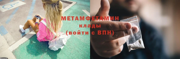прущие крисы Горняк