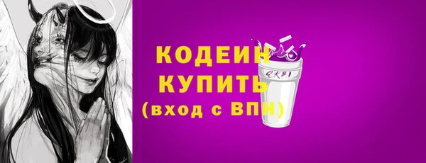прущие крисы Горняк