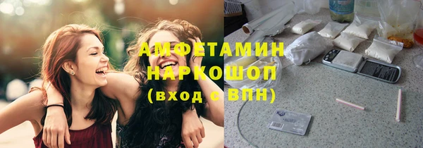 прущие крисы Горняк