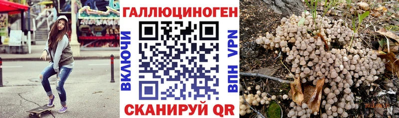 Купить  Лесозаводск  Галлюциногенные грибы Magic Shrooms 